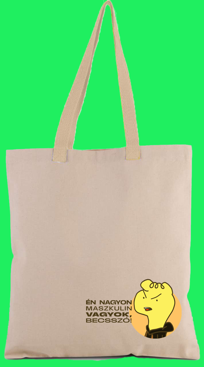 Gyula maszkulin vászontáskája